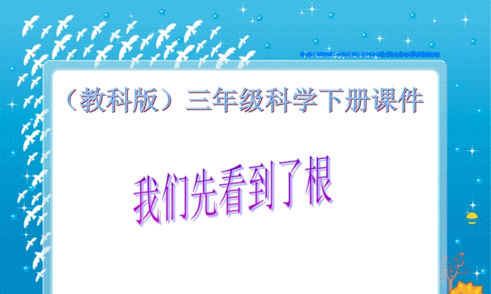 教科小学科学三下《1.3.我们先看到了根》PPT课件(2)【加微信公众号 jiaoxuewuyou 九折优惠 qq 1119139686】.ppt