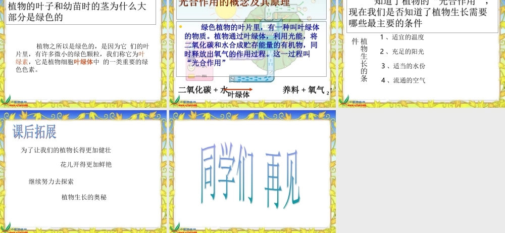 教科小学科学三下《1.4.种子变成了幼苗》PPT课件(3)【加微信公众号 jiaoxuewuyou 九折优惠 qq 1119139686】.ppt
