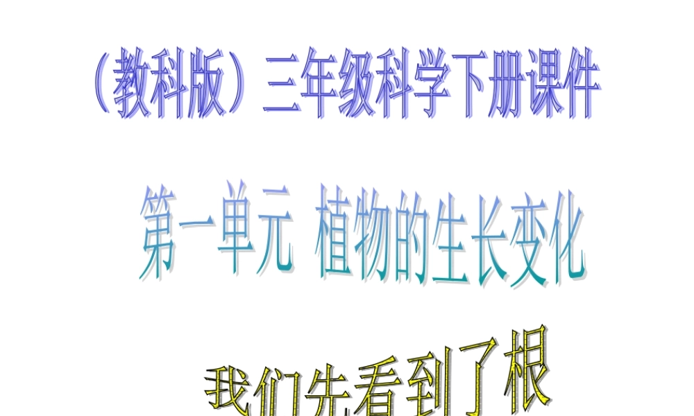 教科小学科学三下《1.3.我们先看到了根》PPT课件(3)【加微信公众号 jiaoxuewuyou 九折优惠 qq 1119139686】.ppt