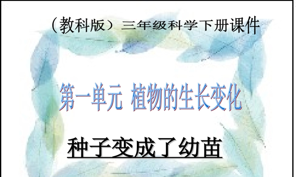 教科小学科学三下《1.4.种子变成了幼苗》PPT课件(4)【加微信公众号 jiaoxuewuyou 九折优惠 qq 1119139686】.ppt