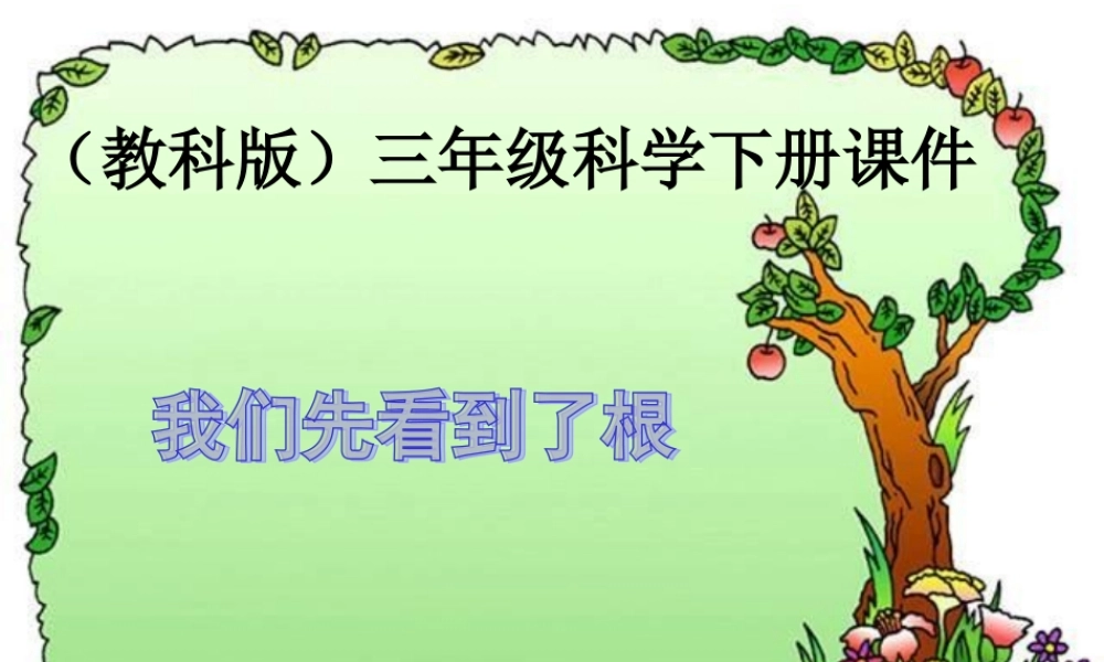 教科小学科学三下《1.3.我们先看到了根》PPT课件(1)【加微信公众号 jiaoxuewuyou 九折优惠 qq 1119139686】.ppt