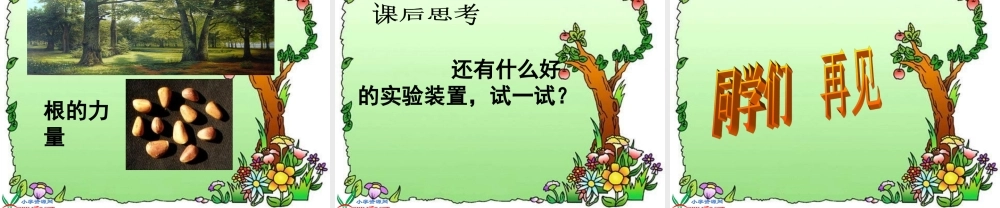 教科小学科学三下《1.3.我们先看到了根》PPT课件(1)【加微信公众号 jiaoxuewuyou 九折优惠 qq 1119139686】.ppt