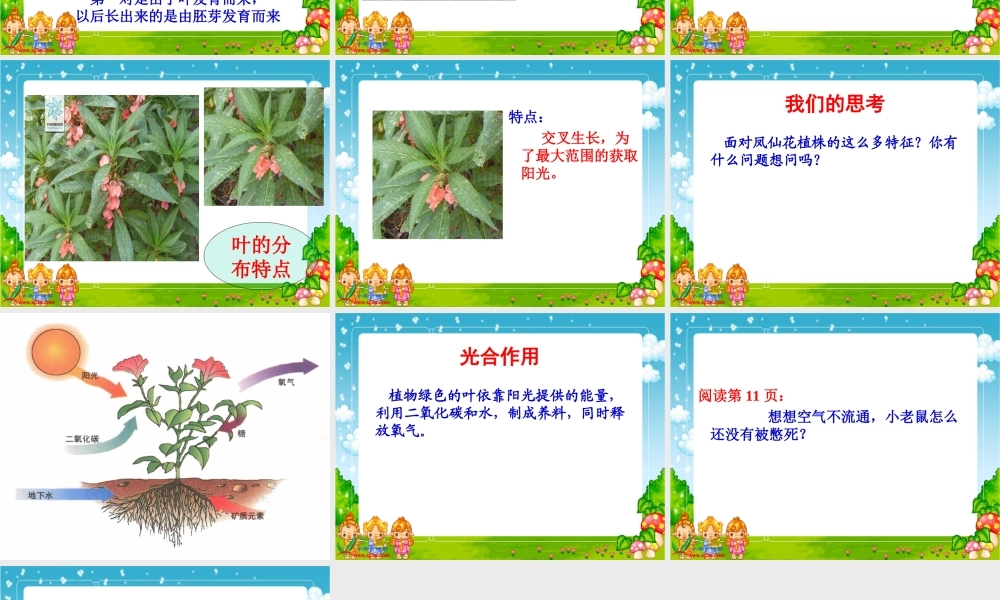 教科小学科学三下《1.4.种子变成了幼苗》PPT课件(5)【加微信公众号 jiaoxuewuyou 九折优惠 qq 1119139686】.ppt