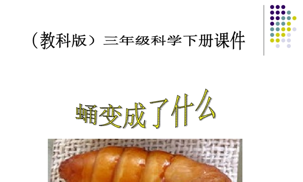 教科小学科学三下《2.4.蛹变成了什么》PPT课件(3)【加微信公众号 jiaoxuewuyou 九折优惠 qq 1119139686】.ppt