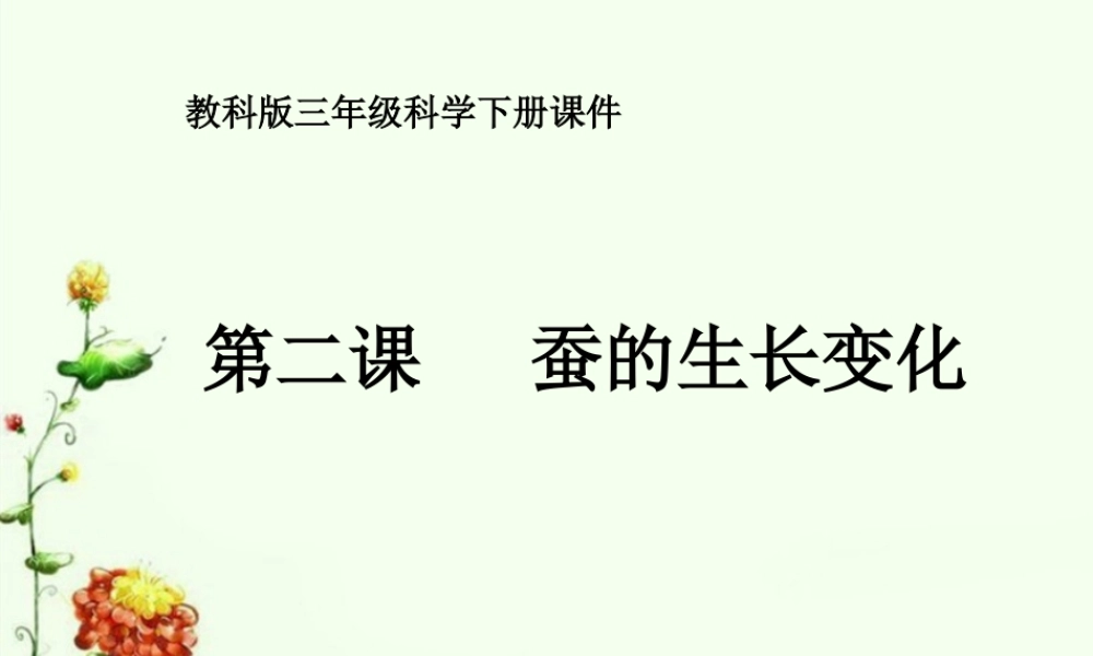 教科小学科学三下《2.2.蚕的生长变化》PPT课件(1)【加微信公众号 jiaoxuewuyou 九折优惠 qq 1119139686】.ppt