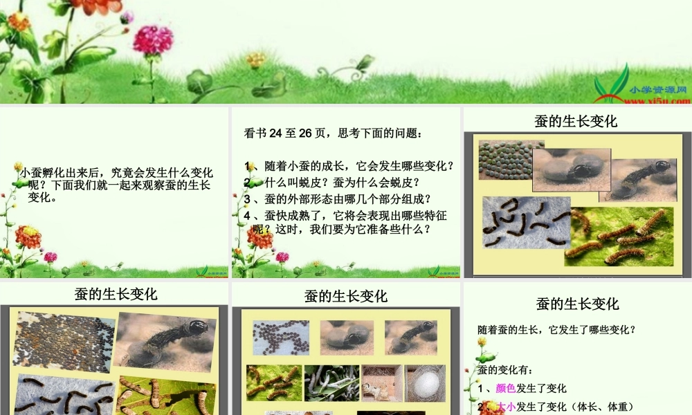 教科小学科学三下《2.2.蚕的生长变化》PPT课件(1)【加微信公众号 jiaoxuewuyou 九折优惠 qq 1119139686】.ppt