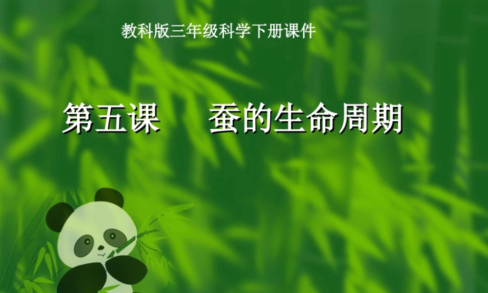 教科小学科学三下《2.5.蚕的生命周期》PPT课件(1)【加微信公众号 jiaoxuewuyou 九折优惠 qq 1119139686】.ppt