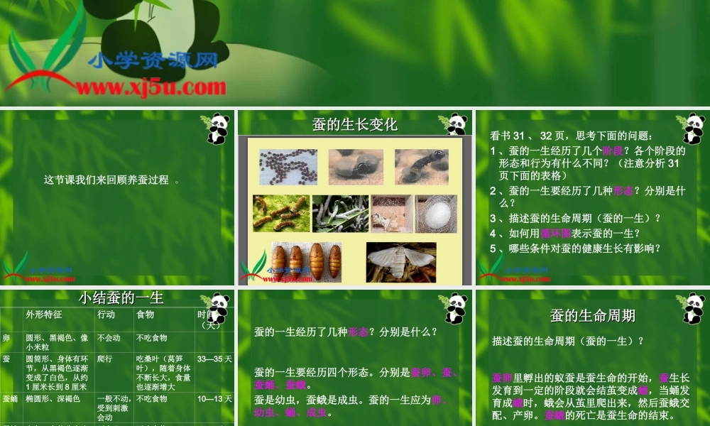 教科小学科学三下《2.5.蚕的生命周期》PPT课件(1)【加微信公众号 jiaoxuewuyou 九折优惠 qq 1119139686】.ppt