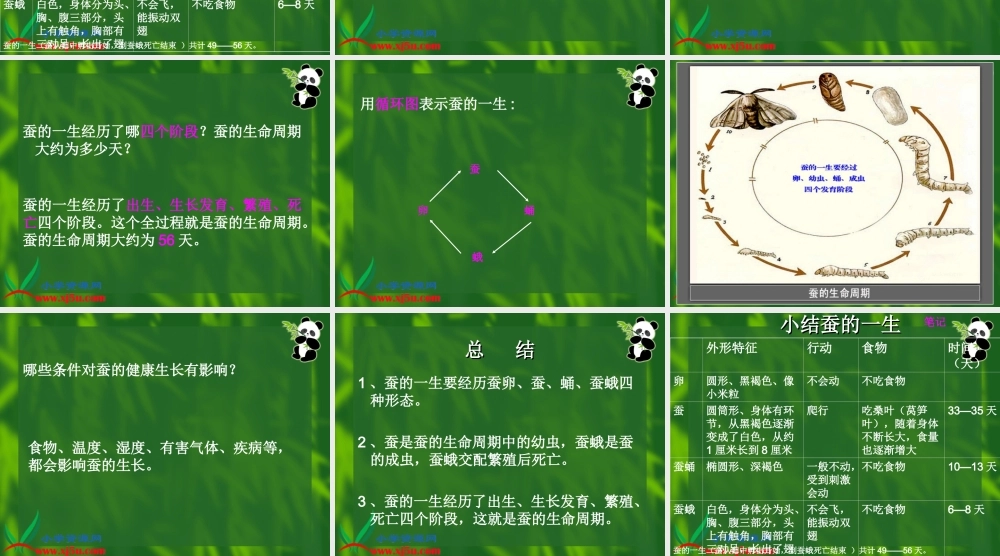 教科小学科学三下《2.5.蚕的生命周期》PPT课件(1)【加微信公众号 jiaoxuewuyou 九折优惠 qq 1119139686】.ppt