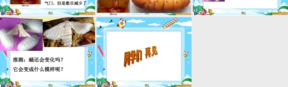 教科小学科学三下《2.3.蚕变了新模样》PPT课件(1)【加微信公众号 jiaoxuewuyou 九折优惠 qq 1119139686】.ppt