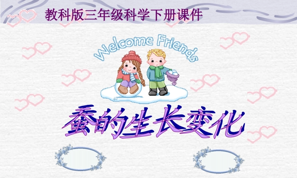 教科小学科学三下《2.2.蚕的生长变化》PPT课件(2)【加微信公众号 jiaoxuewuyou 九折优惠 qq 1119139686】.ppt