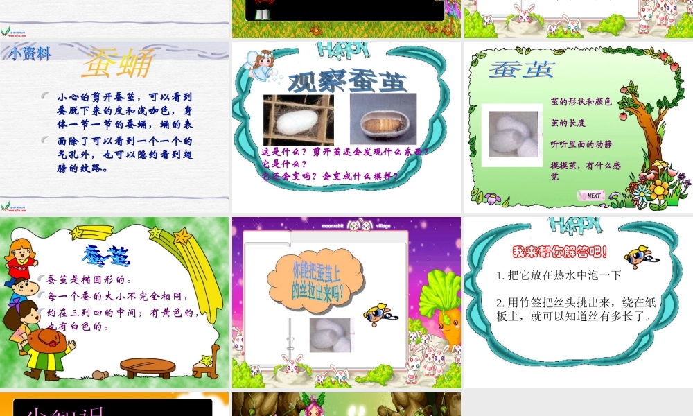 教科小学科学三下《2.2.蚕的生长变化》PPT课件(2)【加微信公众号 jiaoxuewuyou 九折优惠 qq 1119139686】.ppt