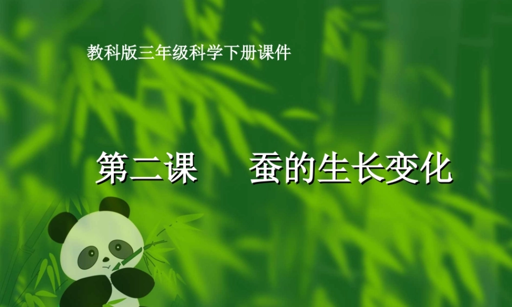 教科小学科学三下《2.2.蚕的生长变化》PPT课件(4)【加微信公众号 jiaoxuewuyou 九折优惠 qq 1119139686】.ppt