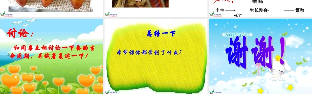 教科小学科学三下《2.5.蚕的生命周期》PPT课件(2)【加微信公众号 jiaoxuewuyou 九折优惠 qq 1119139686】.ppt