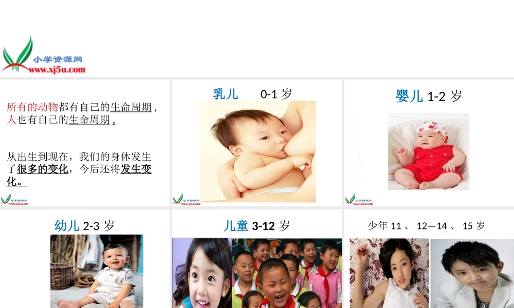 教科小学科学三下《2.7.我们的生命周期》PPT课件【加微信公众号 jiaoxuewuyou 九折优惠 qq 1119139686】.ppt