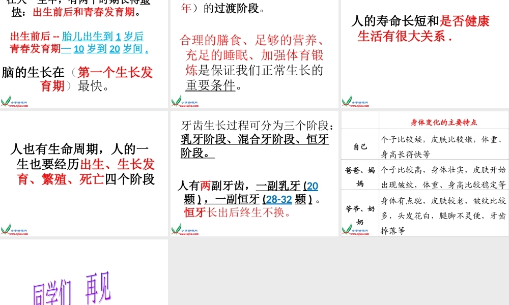 教科小学科学三下《2.7.我们的生命周期》PPT课件【加微信公众号 jiaoxuewuyou 九折优惠 qq 1119139686】.ppt