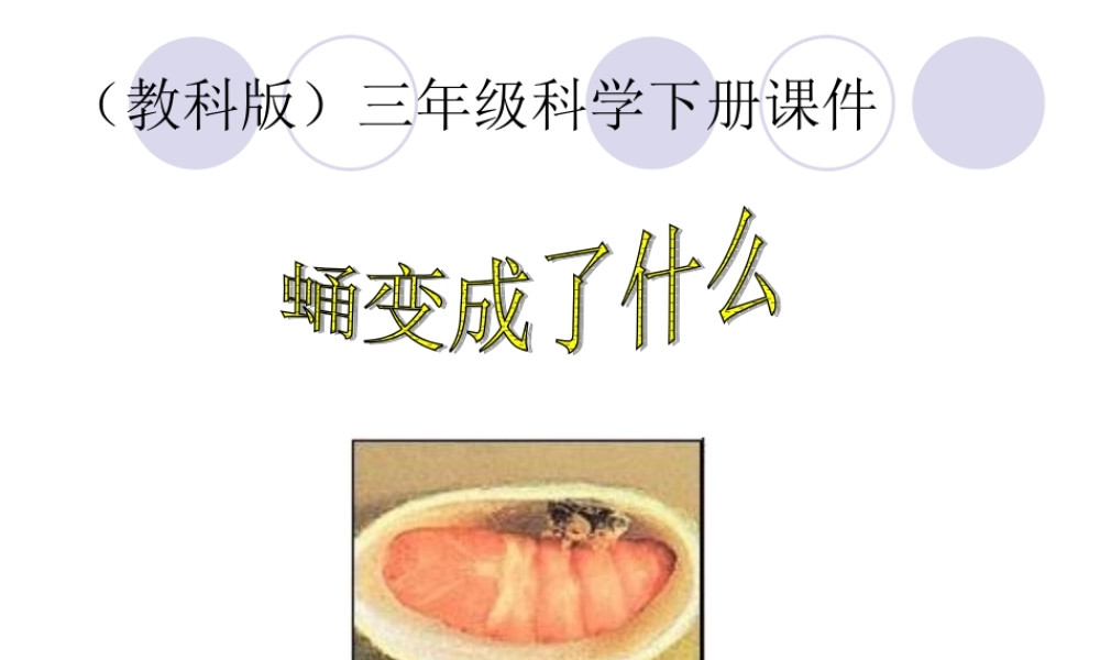 教科小学科学三下《2.4.蛹变成了什么》PPT课件(2)【加微信公众号 jiaoxuewuyou 九折优惠 qq 1119139686】.ppt