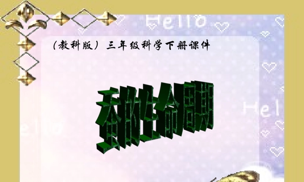 教科小学科学三下《2.5.蚕的生命周期》PPT课件(3)【加微信公众号 jiaoxuewuyou 九折优惠 qq 1119139686】.ppt