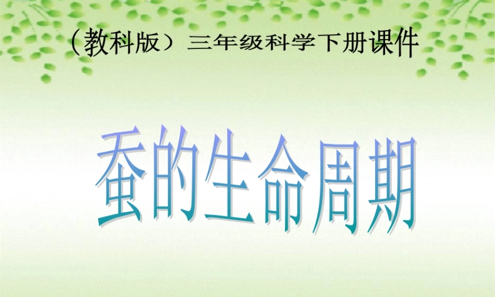 教科小学科学三下《2.5.蚕的生命周期》PPT课件(6)【加微信公众号 jiaoxuewuyou 九折优惠 qq 1119139686】.ppt