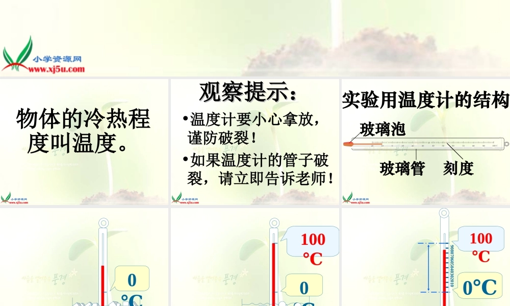 教科小学科学三下《3.1.温度和温度计》PPT课件(6)【加微信公众号 jiaoxuewuyou 九折优惠 qq 1119139686】.ppt