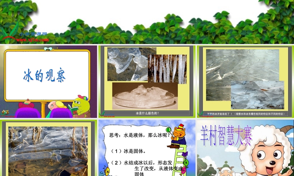 教科小学科学三下《3.3.水结冰了》PPT课件(1)【加微信公众号 jiaoxuewuyou 九折优惠 qq 1119139686】.ppt