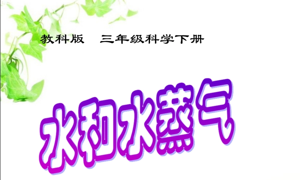 教科小学科学三下《3.6.水和水蒸气》PPT课件(1)【加微信公众号 jiaoxuewuyou 九折优惠 qq 1119139686】.ppt