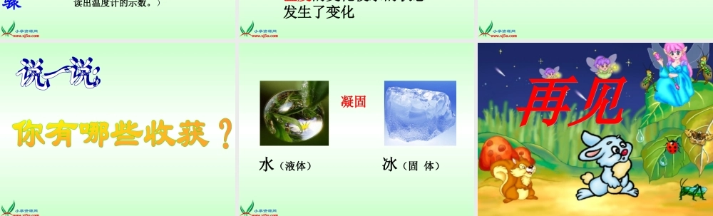教科小学科学三下《3.3.水结冰了》PPT课件(3)【加微信公众号 jiaoxuewuyou 九折优惠 qq 1119139686】.ppt
