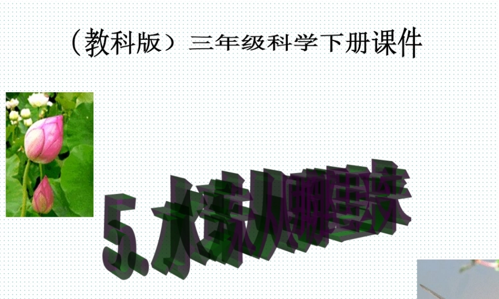 教科小学科学三下《3.5.水珠从哪里来》PPT课件【加微信公众号 jiaoxuewuyou 九折优惠 qq 1119139686】.ppt