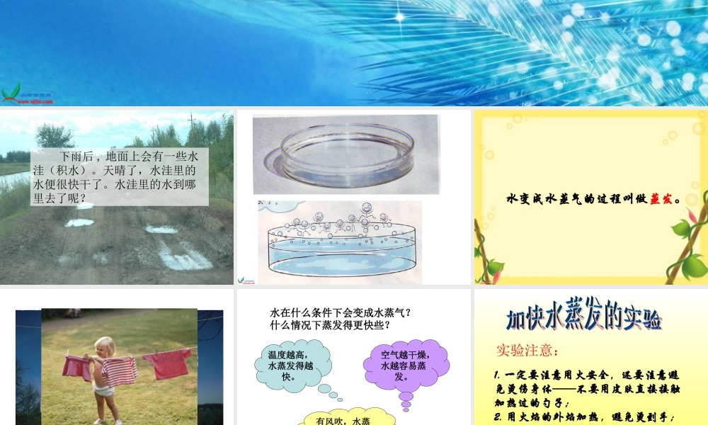 教科小学科学三下《3.6.水和水蒸气》PPT课件(3)【加微信公众号 jiaoxuewuyou 九折优惠 qq 1119139686】.ppt