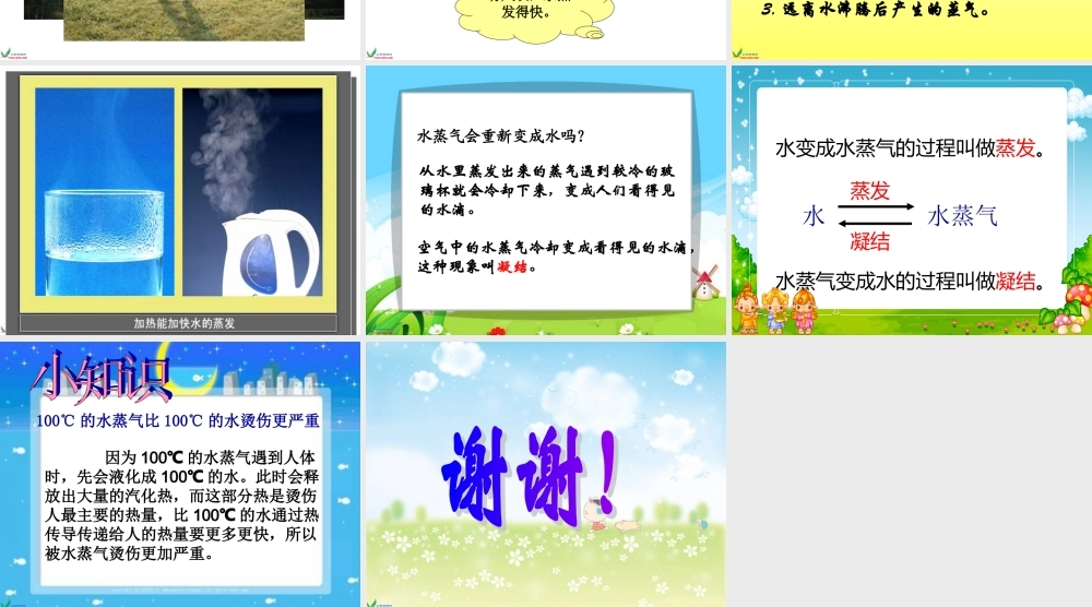 教科小学科学三下《3.6.水和水蒸气》PPT课件(3)【加微信公众号 jiaoxuewuyou 九折优惠 qq 1119139686】.ppt