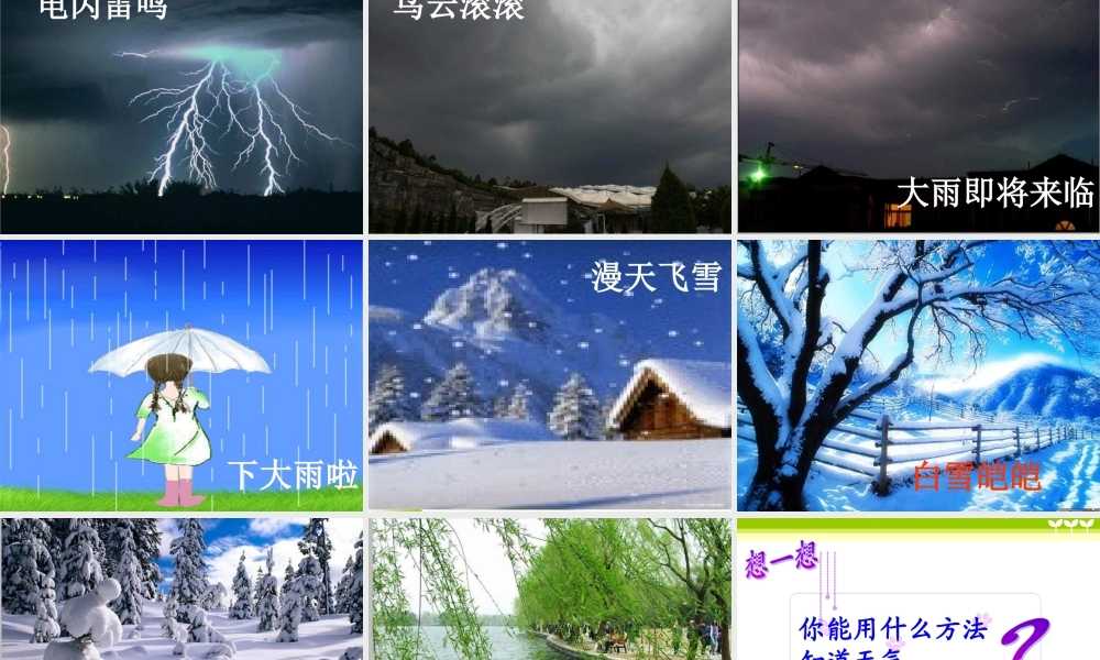 教科小学科学四上《1.1、我们关心天气》PPT课件(8)【加微信公众号 jiaoxuewuyou 九折优惠 qq 1119139686】.ppt