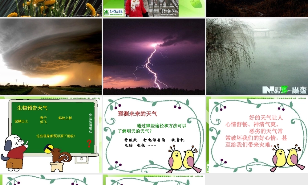 教科小学科学四上《1.1、我们关心天气》PPT课件(9)【加微信公众号 jiaoxuewuyou 九折优惠 qq 1119139686】.ppt