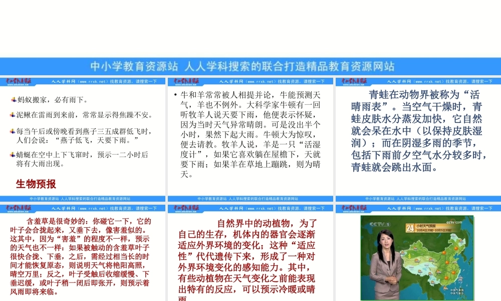 教科小学科学四上《1.1、我们关心天气》PPT课件(2)【加微信公众号 jiaoxuewuyou 九折优惠 qq 1119139686】.ppt