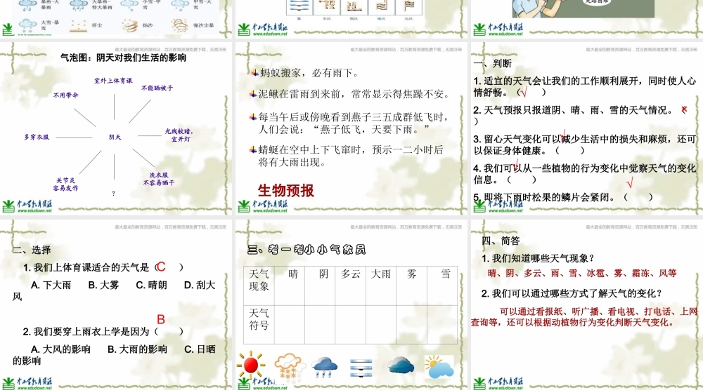 教科小学科学四上《1.1、我们关心天气》PPT课件(7)【加微信公众号 jiaoxuewuyou 九折优惠 qq 1119139686】.ppt