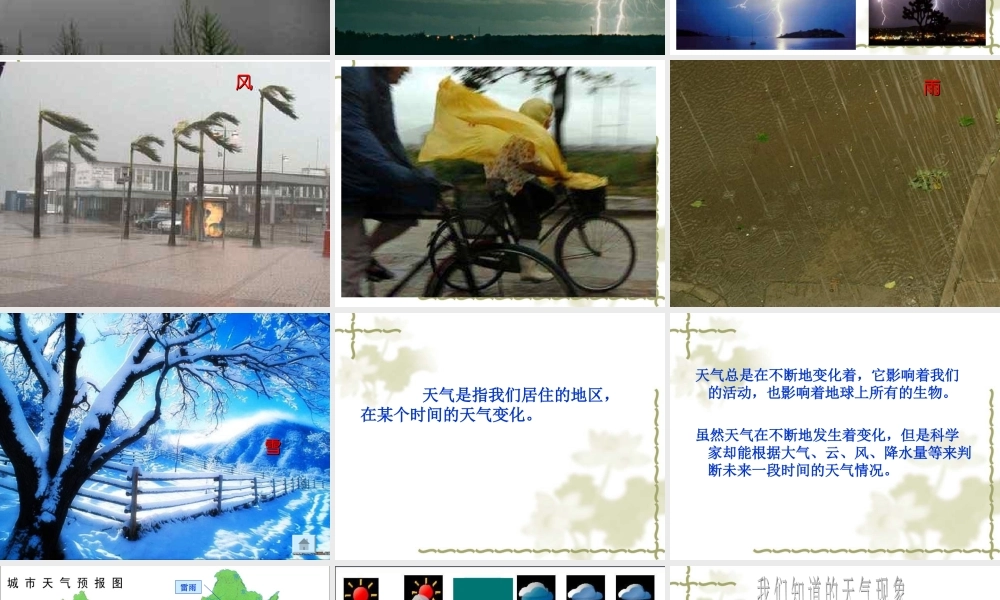 教科小学科学四上《1.2、天气日历》PPT课件(3)【加微信公众号 jiaoxuewuyou 九折优惠 qq 1119139686】.ppt