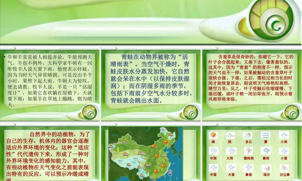 教科小学科学四上《1.1、我们关心天气》PPT课件(16)【加微信公众号 jiaoxuewuyou 九折优惠 qq 1119139686】.ppt