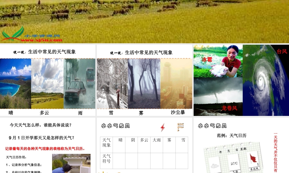 教科小学科学四上《1.2、天气日历》PPT课件(8)【加微信公众号 jiaoxuewuyou 九折优惠 qq 1119139686】.ppt