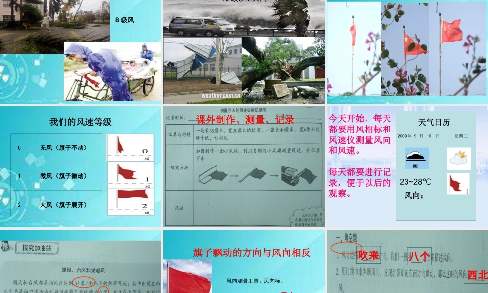 教科小学科学四上《1.4、风向和风速》PPT课件(4)【加微信公众号 jiaoxuewuyou 九折优惠 qq 1119139686】.ppt