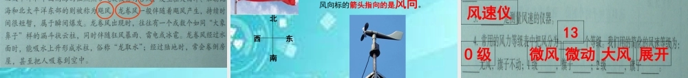 教科小学科学四上《1.4、风向和风速》PPT课件(4)【加微信公众号 jiaoxuewuyou 九折优惠 qq 1119139686】.ppt