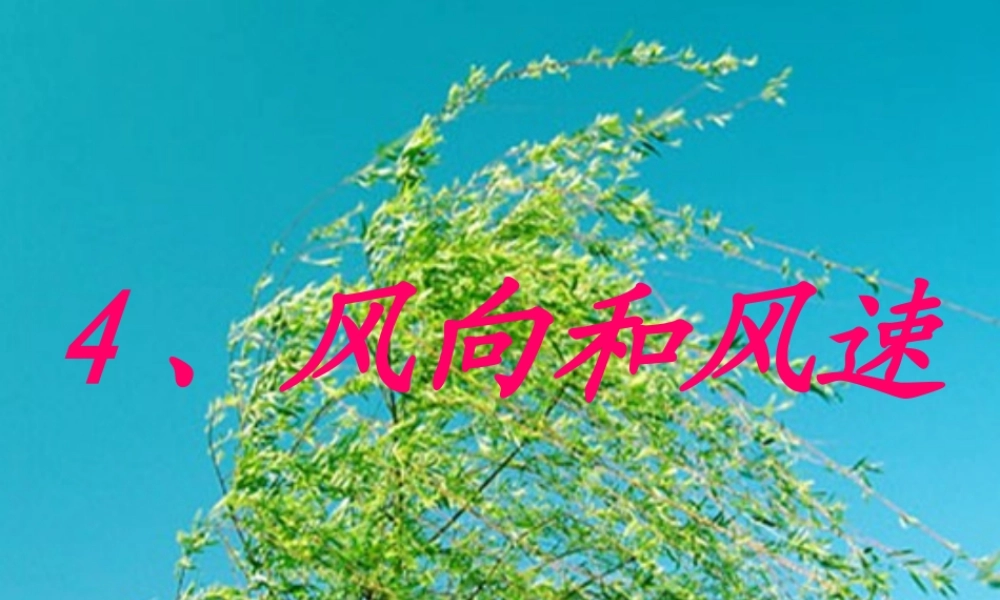 教科小学科学四上《1.4、风向和风速》PPT课件(8)【加微信公众号 jiaoxuewuyou 九折优惠 qq 1119139686】.ppt