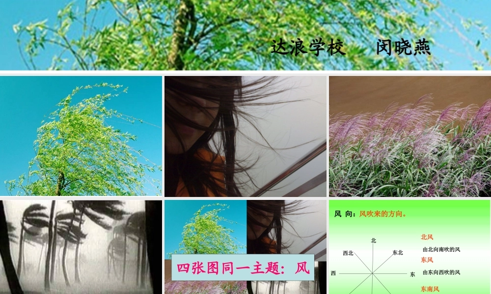 教科小学科学四上《1.4、风向和风速》PPT课件(8)【加微信公众号 jiaoxuewuyou 九折优惠 qq 1119139686】.ppt