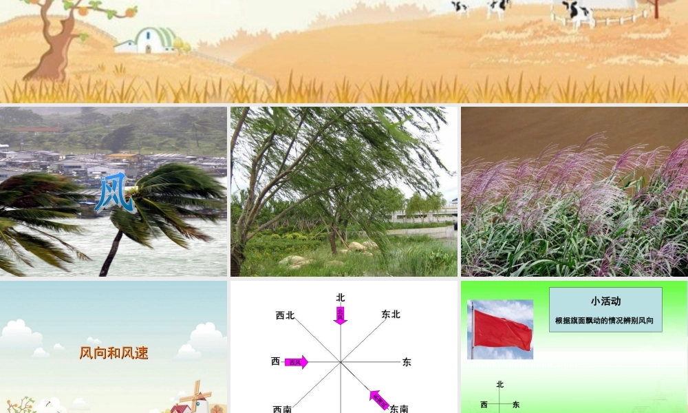 教科小学科学四上《1.4、风向和风速》PPT课件(6)【加微信公众号 jiaoxuewuyou 九折优惠 qq 1119139686】.ppt