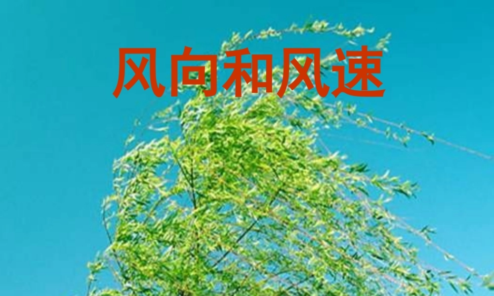 教科小学科学四上《1.4、风向和风速》PPT课件(3)【加微信公众号 jiaoxuewuyou 九折优惠 qq 1119139686】.ppt