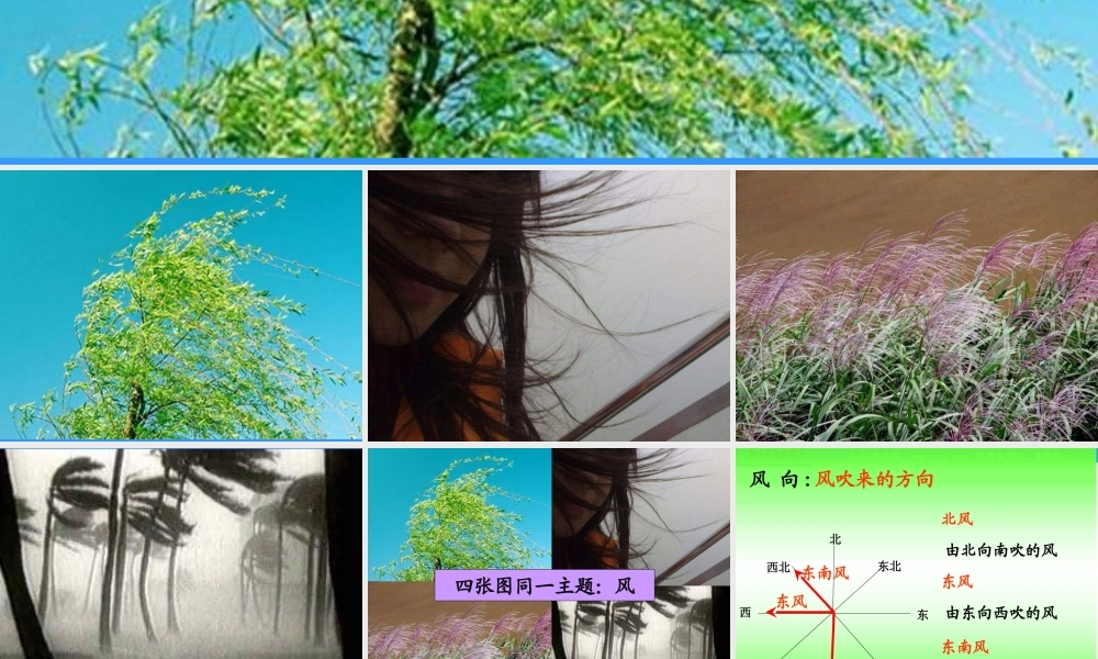 教科小学科学四上《1.4、风向和风速》PPT课件(3)【加微信公众号 jiaoxuewuyou 九折优惠 qq 1119139686】.ppt