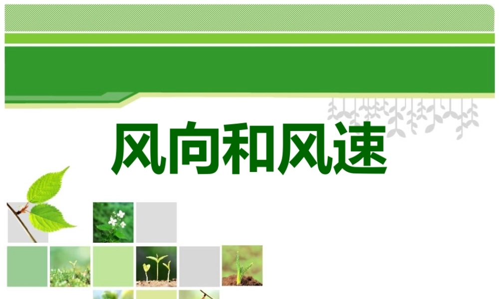 教科小学科学四上《1.4、风向和风速》PPT课件(13)【加微信公众号 jiaoxuewuyou 九折优惠 qq 1119139686】.ppt