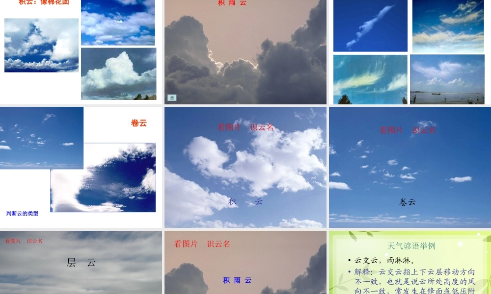 教科小学科学四上《1.6、云的观测》PPT课件(5)【加微信公众号 jiaoxuewuyou 九折优惠 qq 1119139686】.ppt