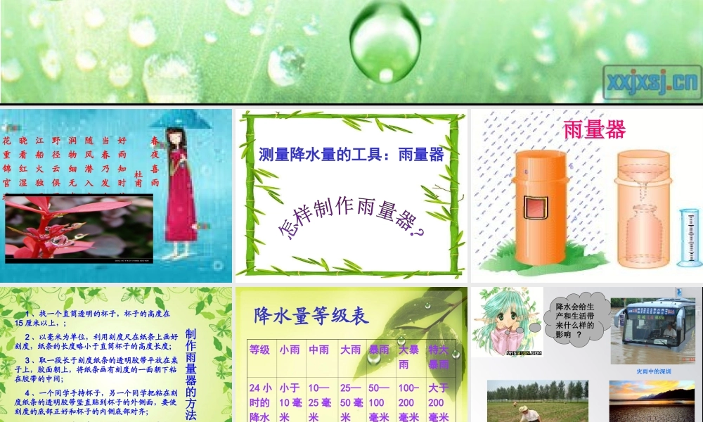 教科小学科学四上《1.5、降水量的测量》PPT课件(4)【加微信公众号 jiaoxuewuyou 九折优惠 qq 1119139686】.ppt