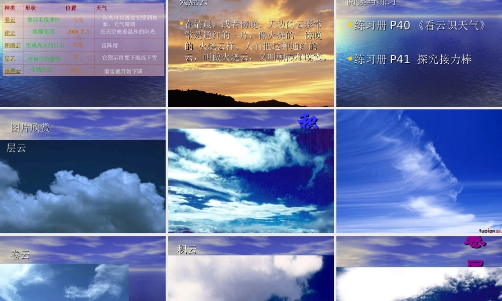 教科小学科学四上《1.6、云的观测》PPT课件(6)【加微信公众号 jiaoxuewuyou 九折优惠 qq 1119139686】.ppt