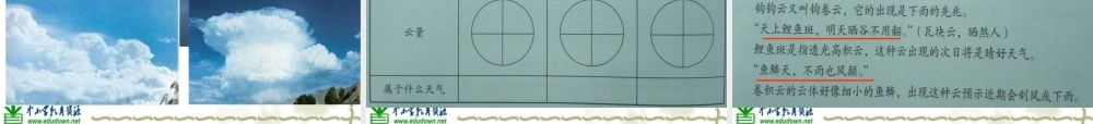 教科小学科学四上《1.6、云的观测》PPT课件(4)【加微信公众号 jiaoxuewuyou 九折优惠 qq 1119139686】.ppt