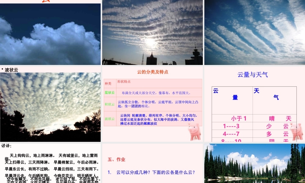 教科小学科学四上《1.6、云的观测》PPT课件(7)【加微信公众号 jiaoxuewuyou 九折优惠 qq 1119139686】.ppt